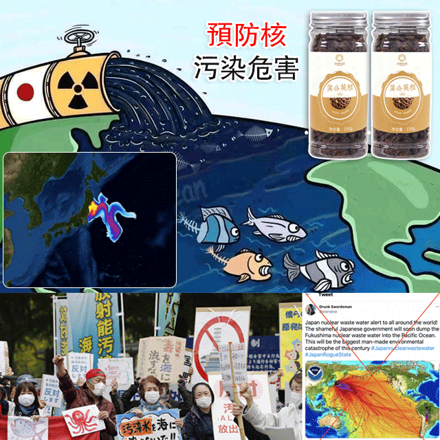 【防輻射】品華天寶 蒲公英根茶