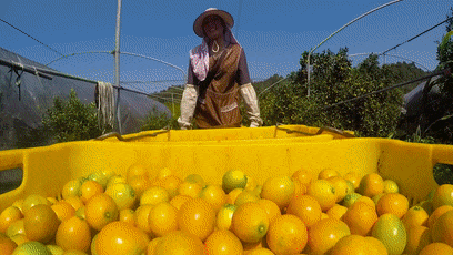 1705296551100514.gif 1.gif