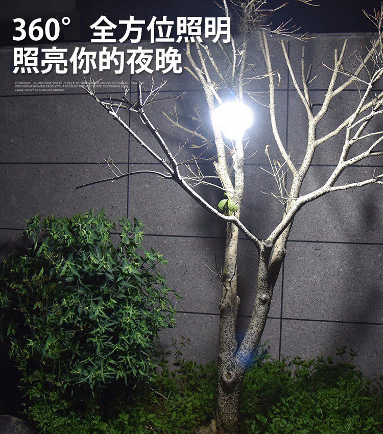 1712591977578365.jpg 31.jpg