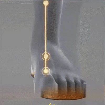 1714036881696030.gif 1.gif