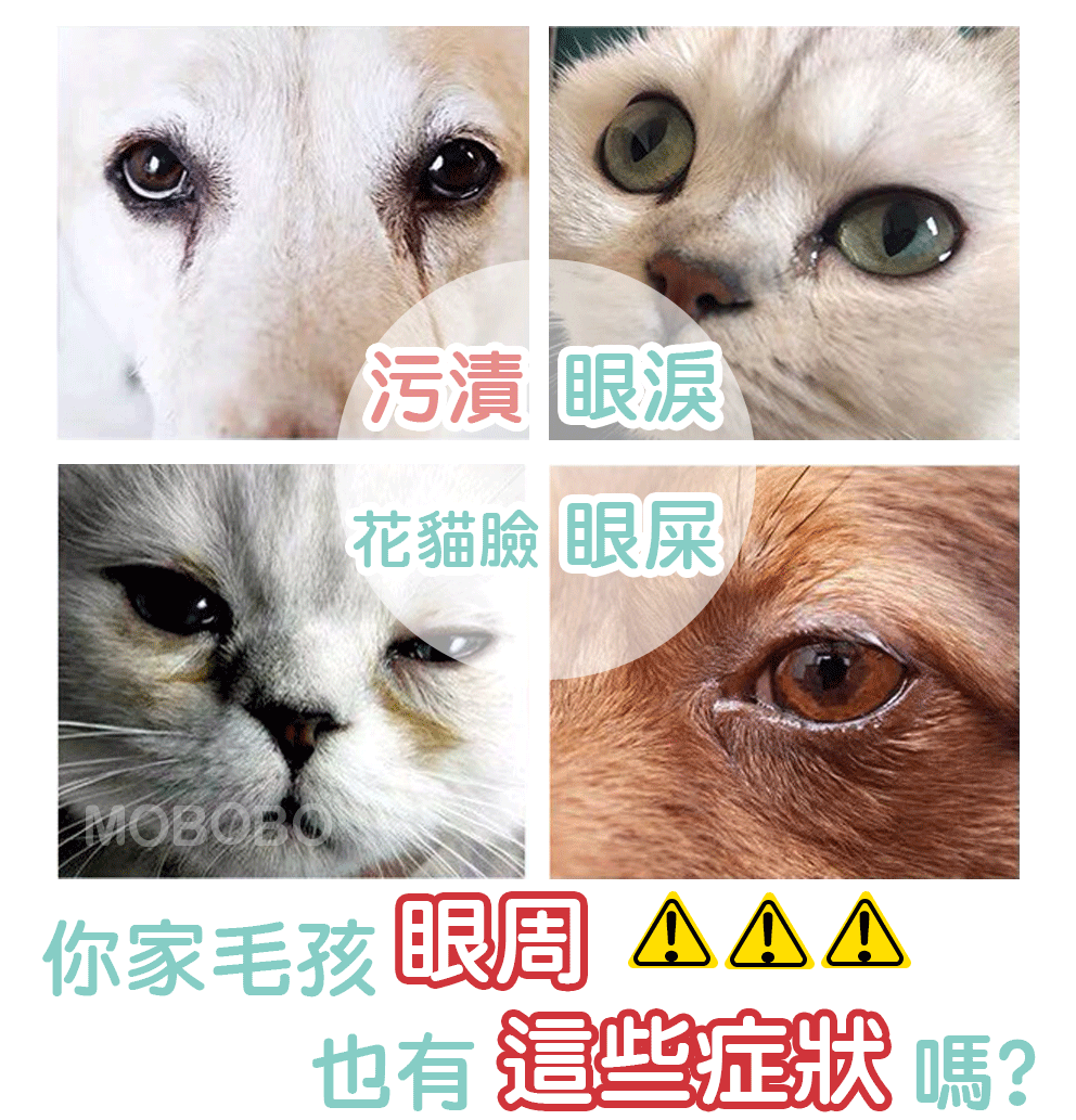 1716116159393666.gif 1.gif